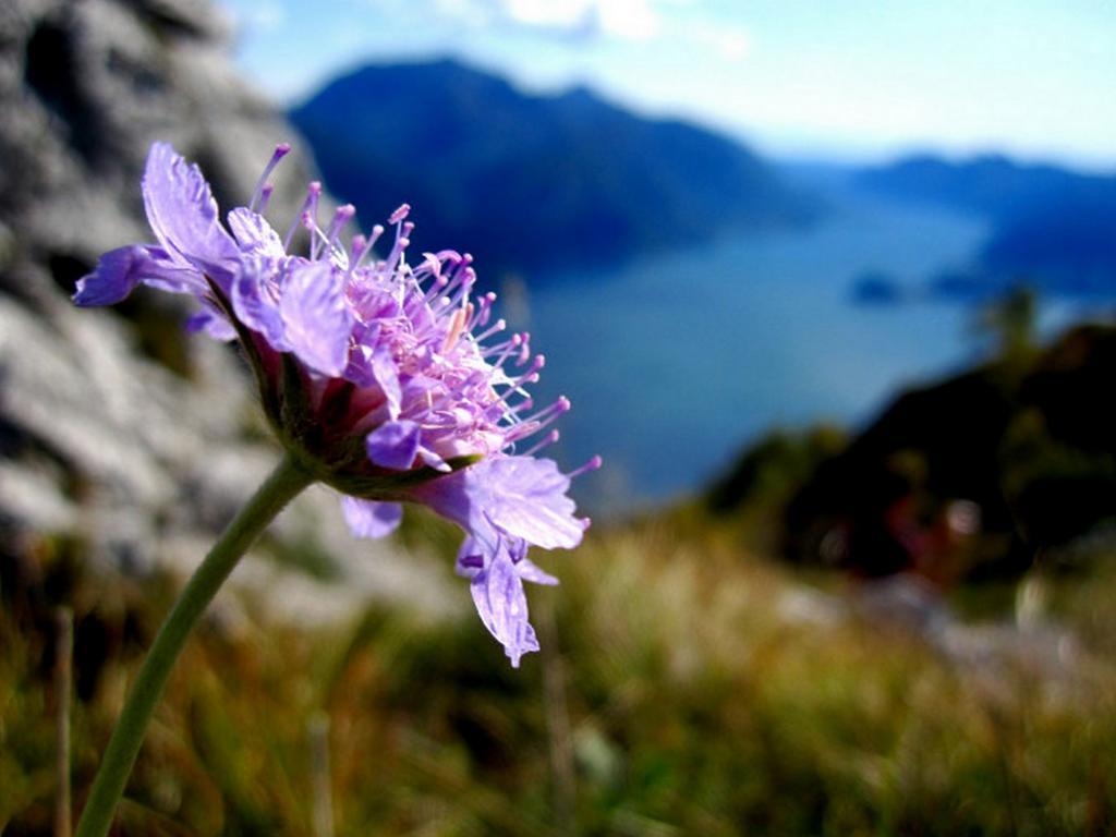 Menaggio Fronte Lago Eksteriør billede